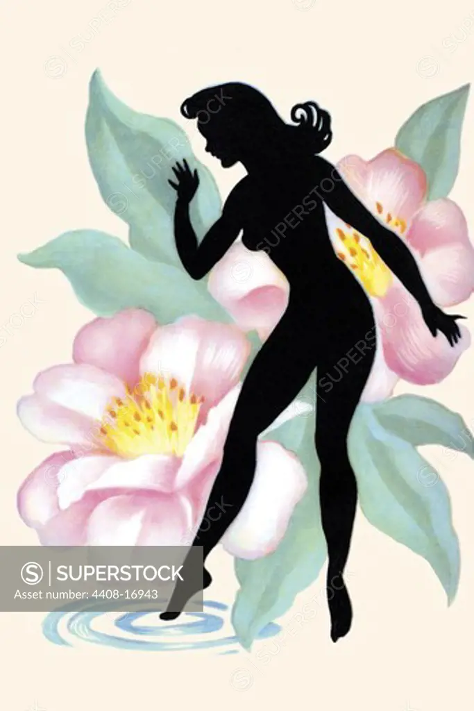 Flower Fairy, Domestic Graphics