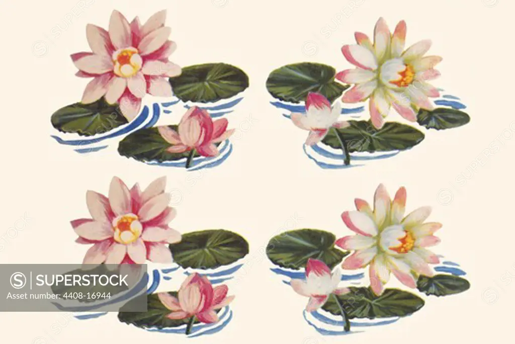 Four Water Lilies, Domestic Graphics