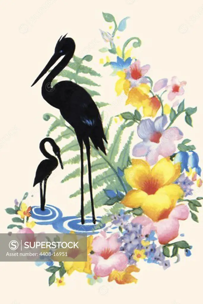 Storks and Flowers, Domestic Graphics