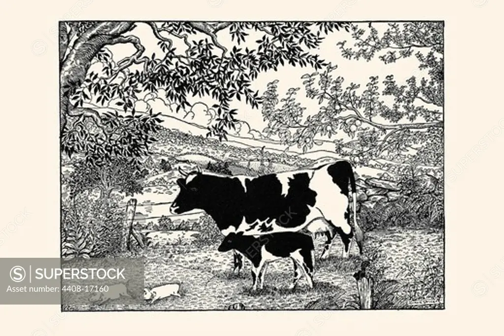 When they Went Scampering By, the Cow Just Stared at Them, Storybook Kids