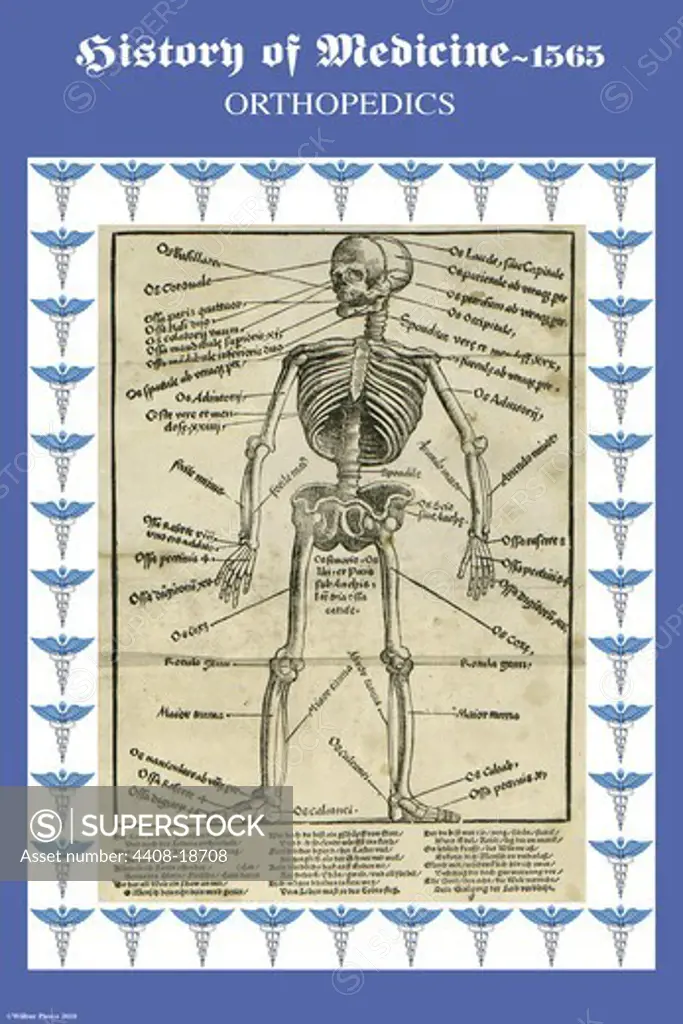 Orthopedics, Medical - History