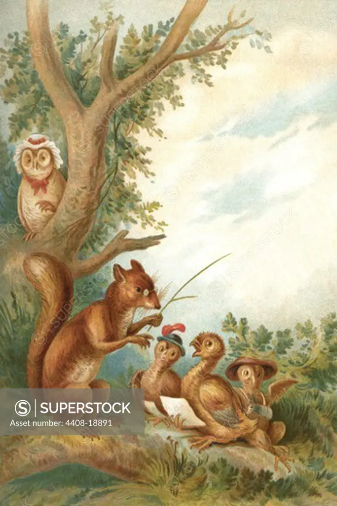 Squirrel Teaches Ducks , Children's Literature