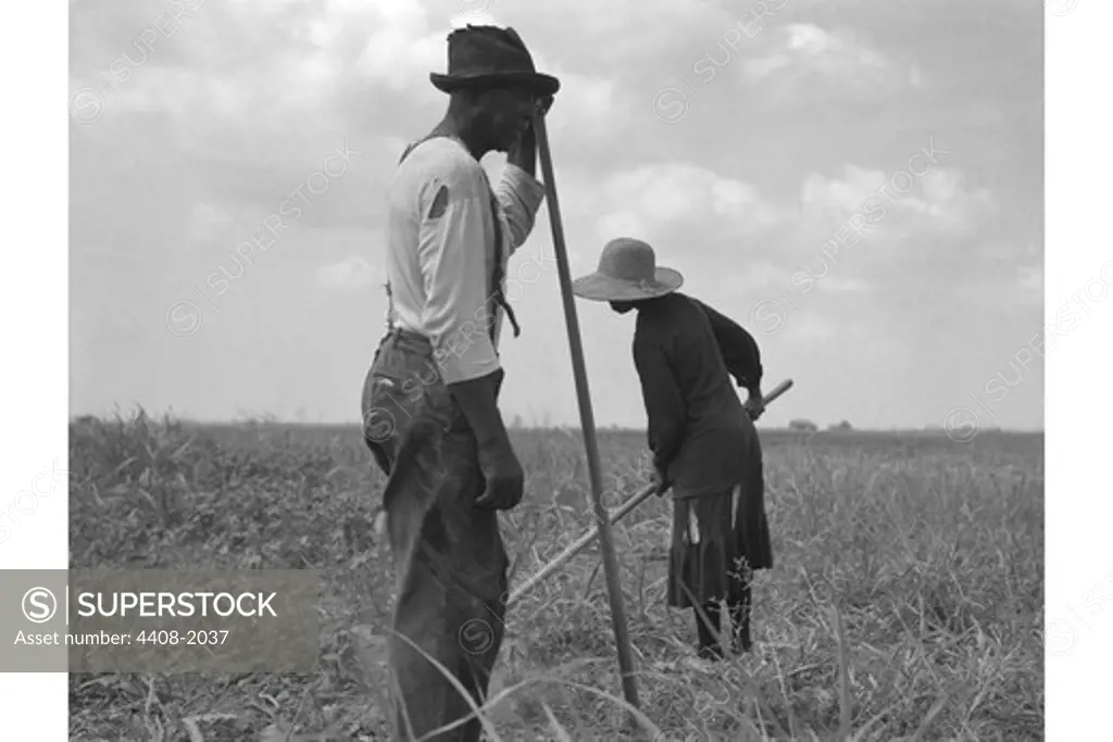 Cotton sharecroppers, Dorothea Lange