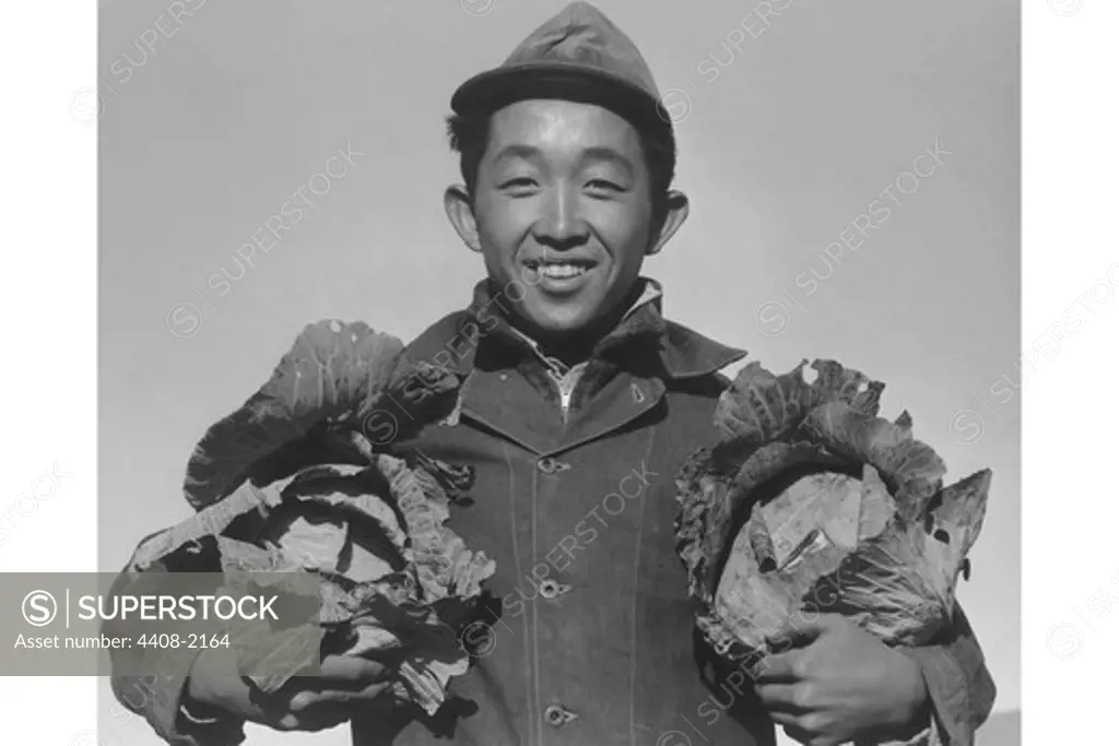 Richard Kobayashi, farmer with cabbages, Ansel Adams