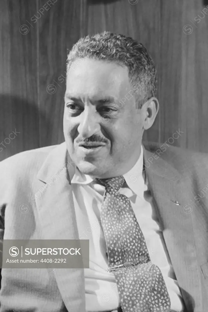 Thurgood Marshall, African-Americans