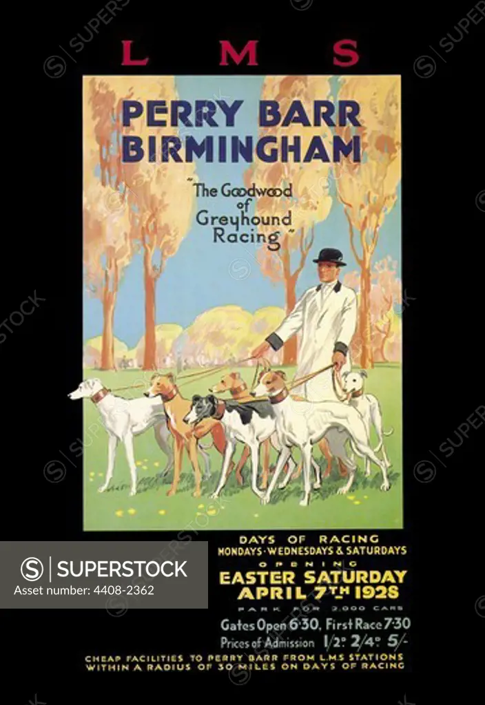 Perry Barr, Birmingham - Greyhound Racing, Dogs
