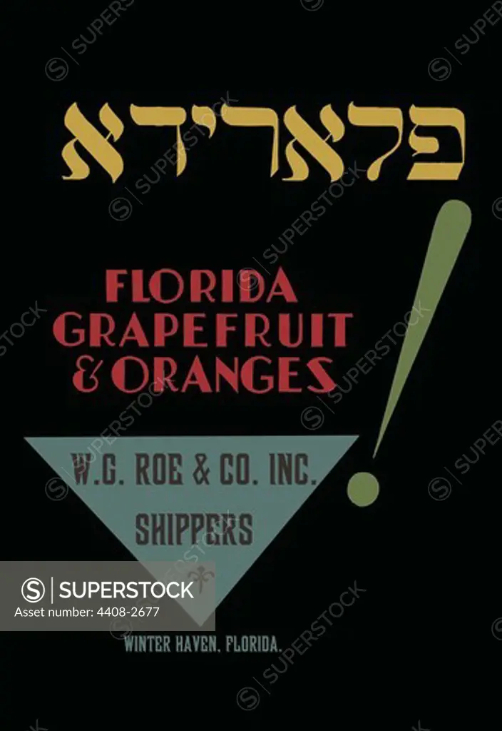 Florida Grapefruit and Oranges, American Judaica