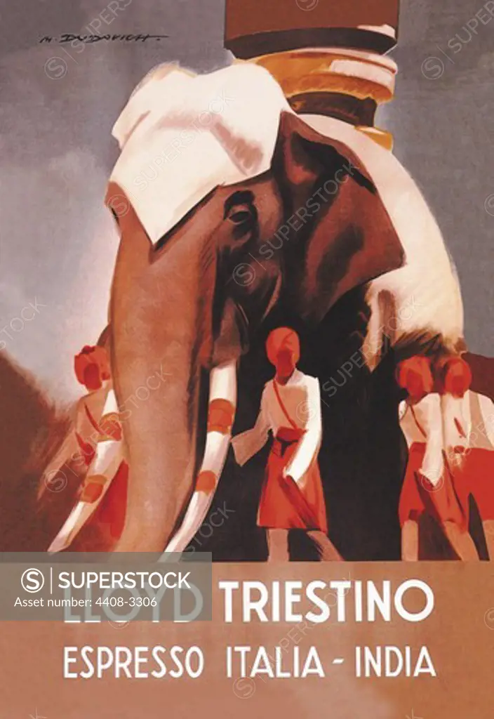 Lloyd Triestino Espresso Itali India, Elephants