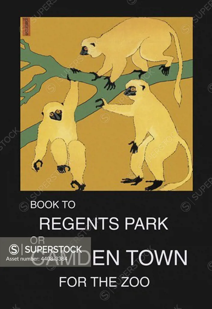 Book to Regent's Park, Primates - Monkeys & Apes