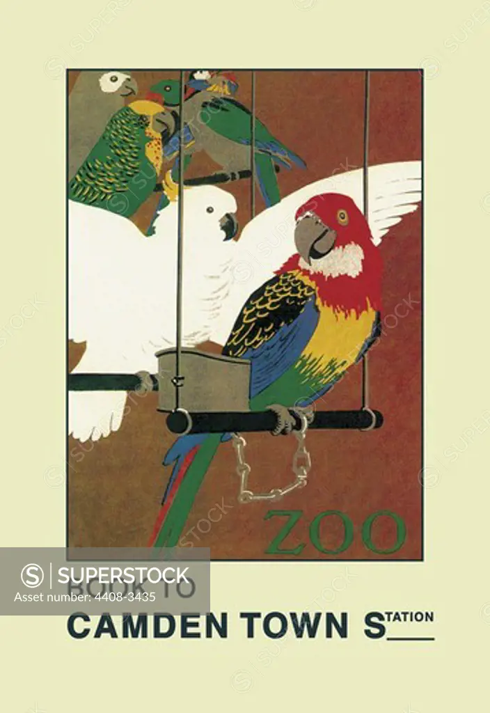 London Zoo: Exotic Birds, Exotic & Tropical Birds