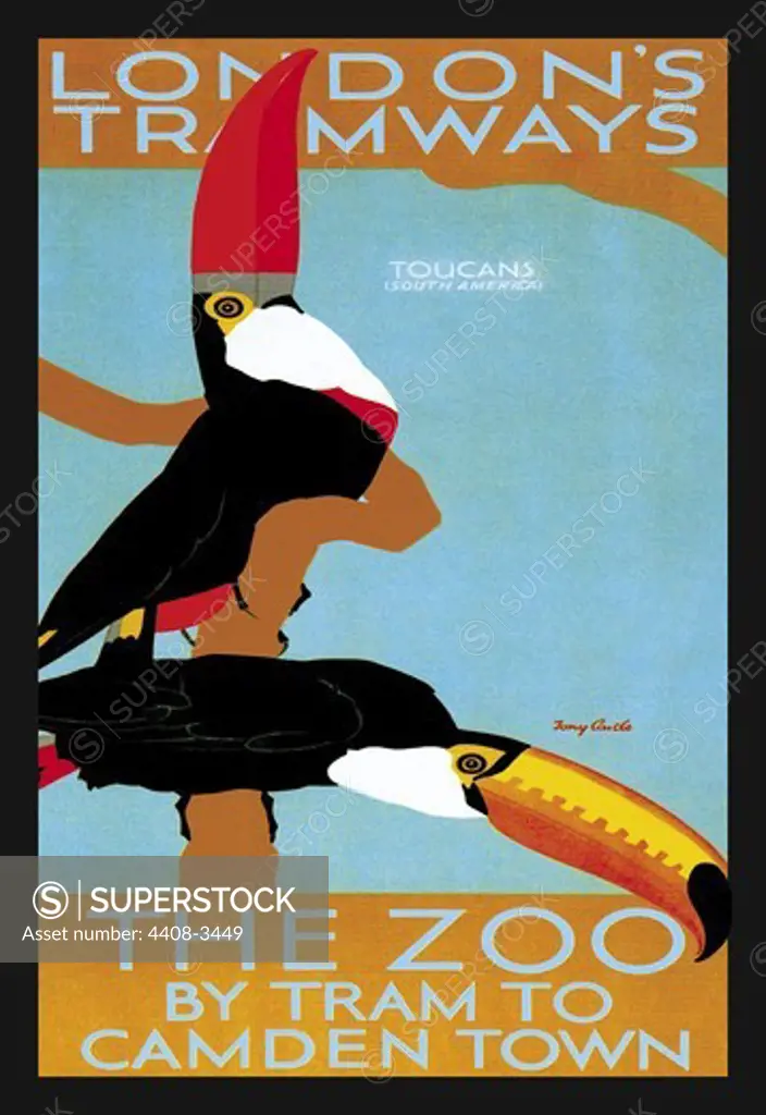 London Zoo: South American Toucans, Exotic & Tropical Birds
