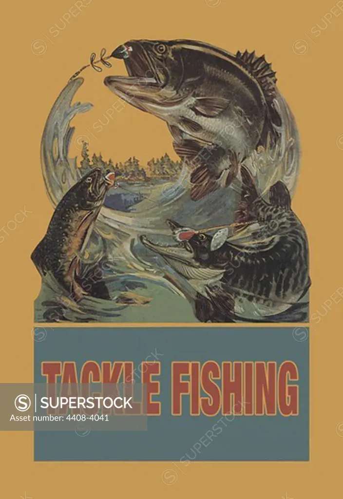 Tackle Fishing, Fish & Fishing - Trout