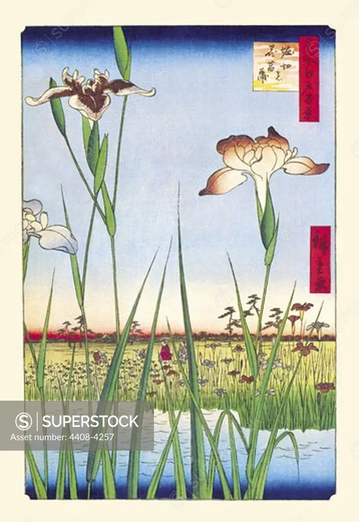 Iris Garden at Horikiri, Japanese Prints - Hiroshige