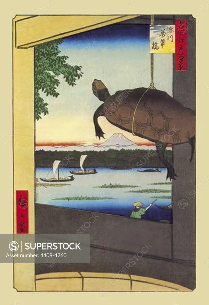 Turtle, Japanese Prints - Hiroshige