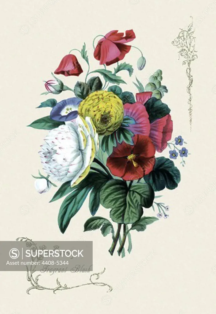 Fragrant Blush, Floral Boquet