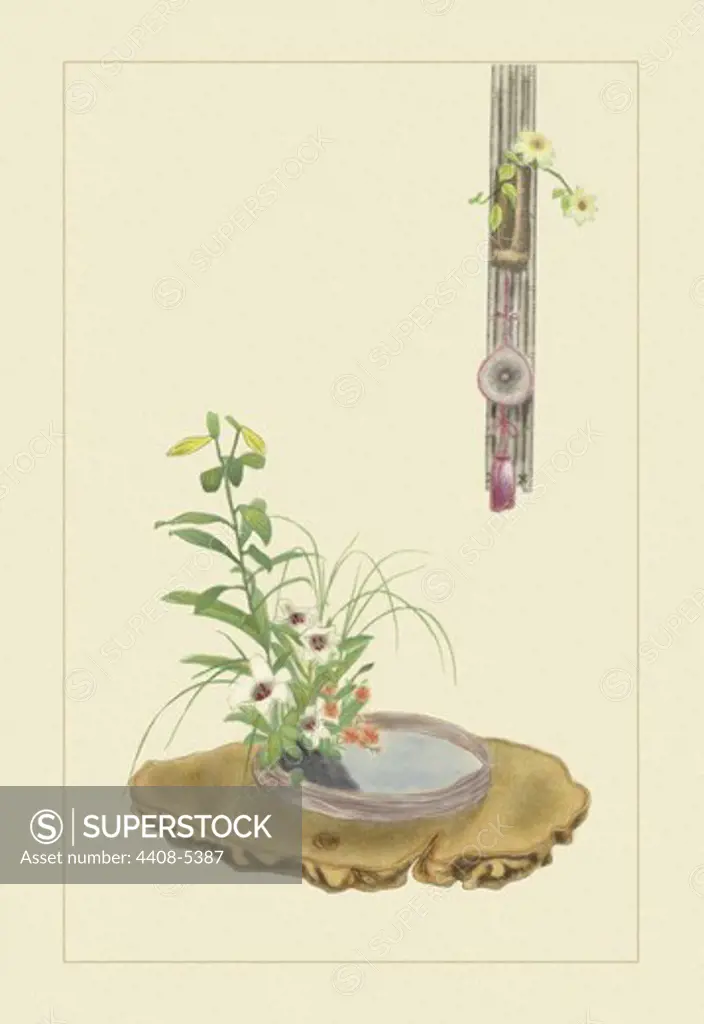 Clematis, Lily, and Riverside Pink, Ikebana