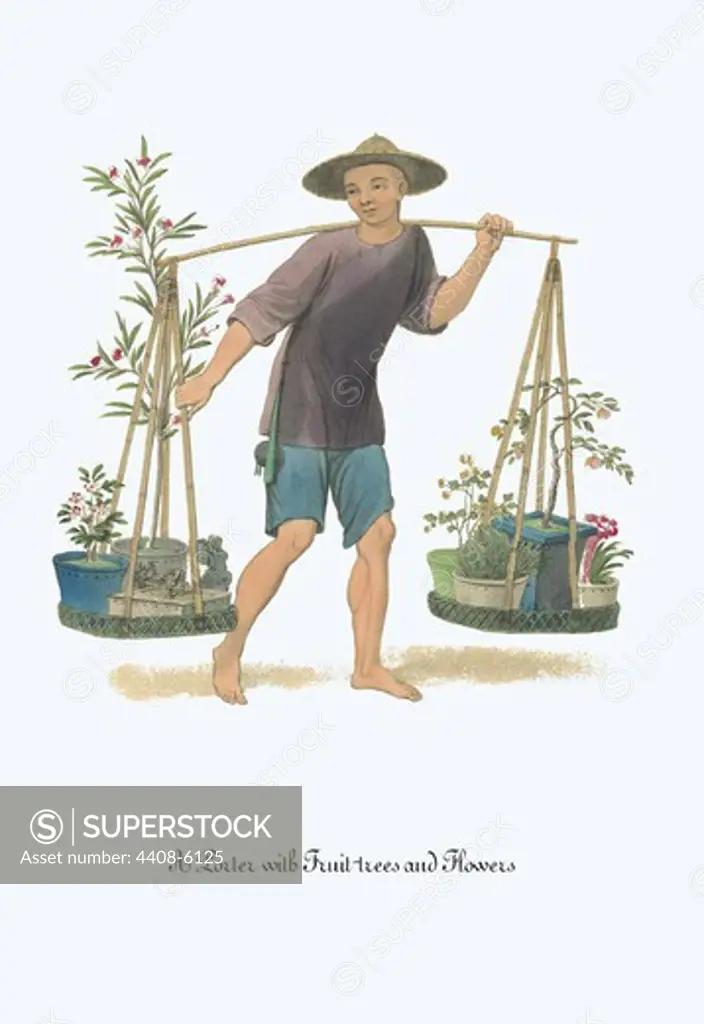Porter with Fruit Trees and Flowers, China - Costumes & Occupations