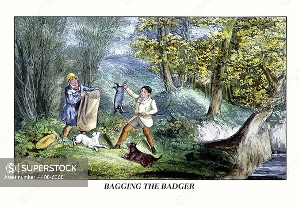 Bagging the Badger, Dogs