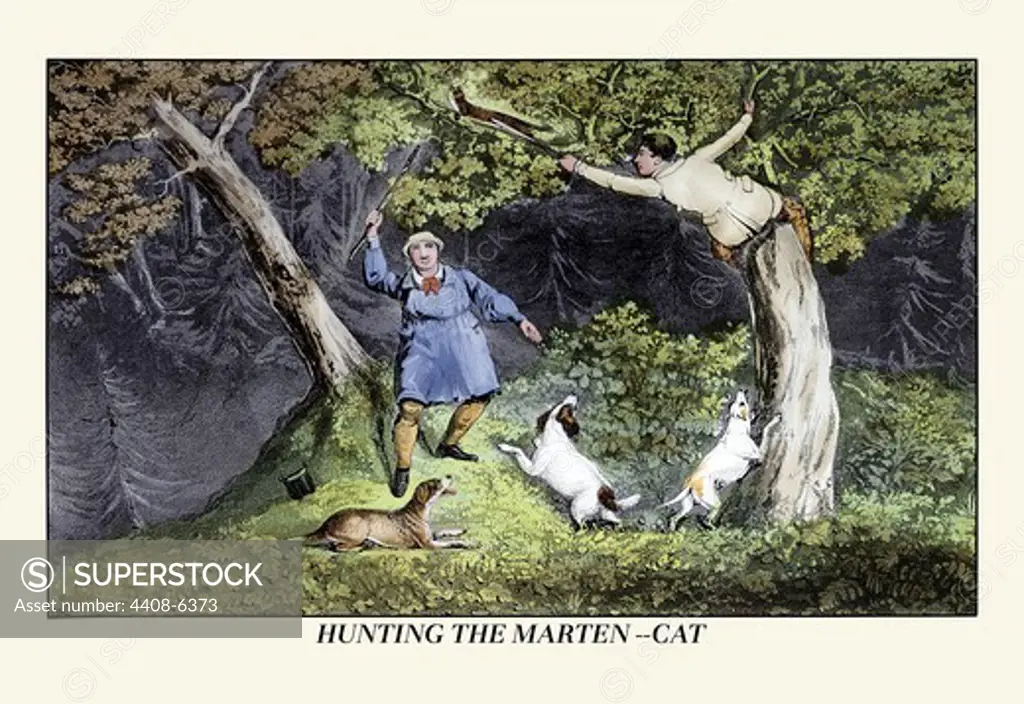 Hunting the Marten-Cat, Dogs