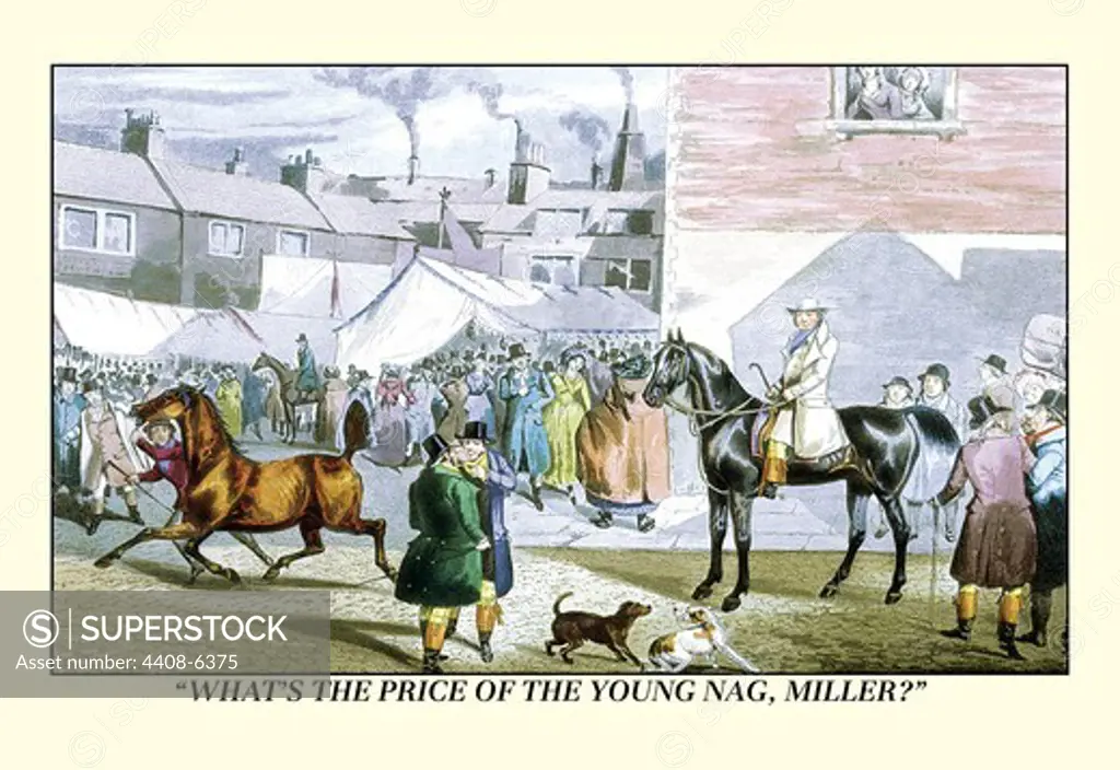 What's the Price of the Young Nag, Miller, Dogs