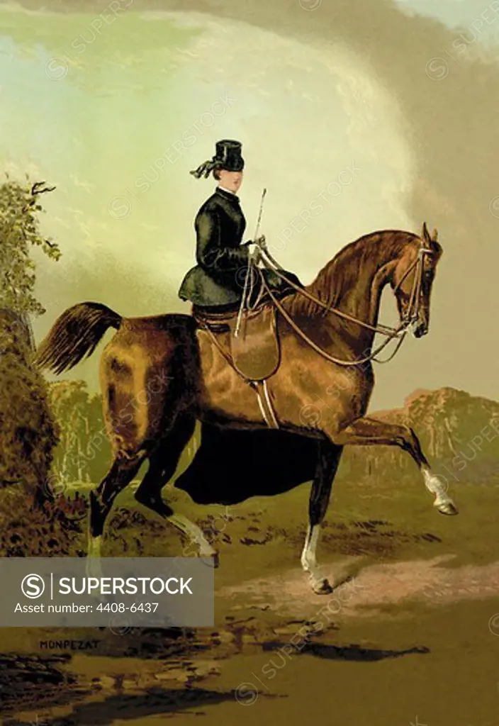Ladies' Horse, Horses - Riding & Racing