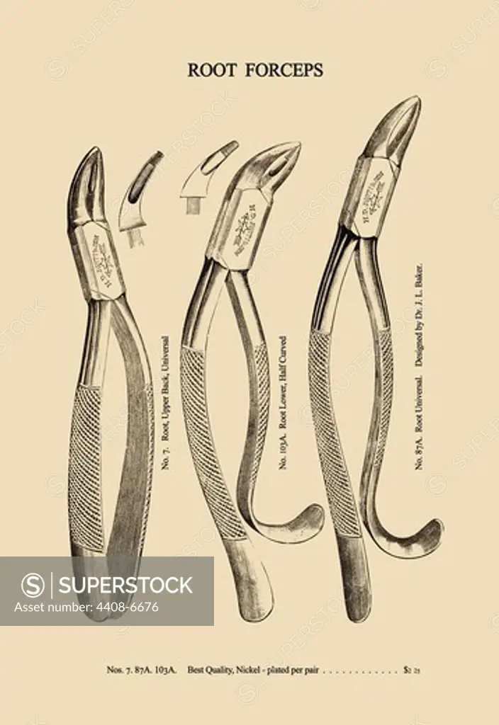 Root Forceps, Medical - Dental
