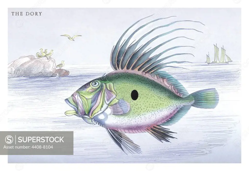 Dory, Ichthyology - Fish