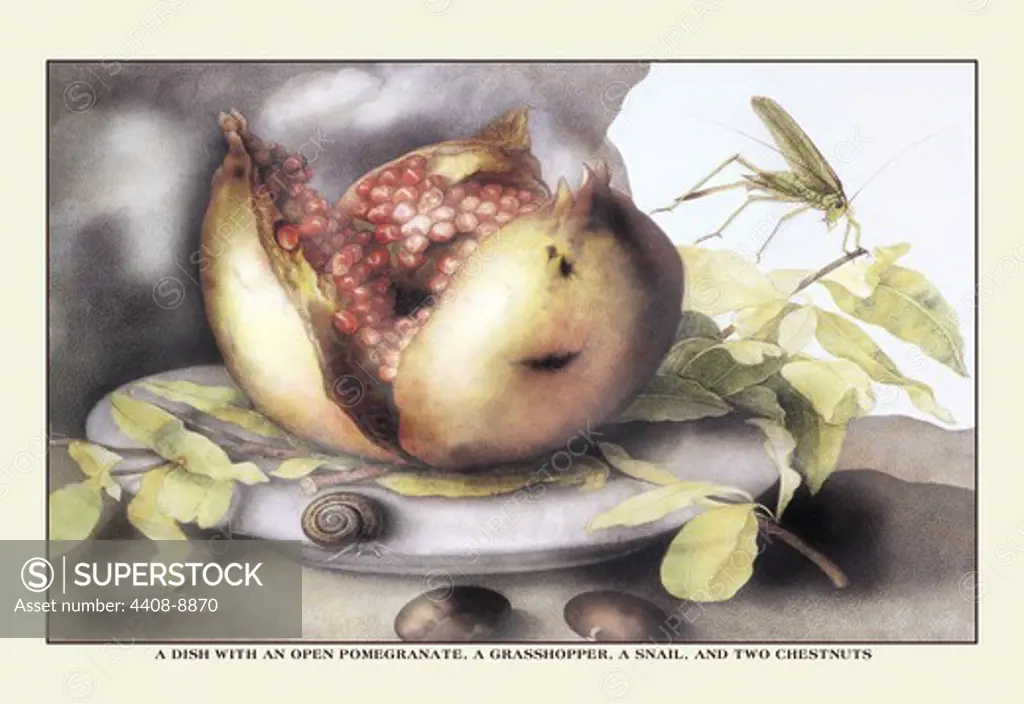 Dish with a Pomegranate, a Grasshopper, a Snail, and Two Chestnuts, Giovanna Garzoni