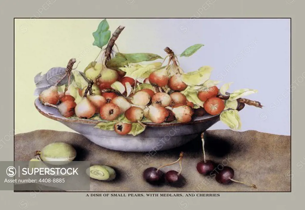 Dish of Small Pears With Medlars and Cherries, Giovanna Garzoni