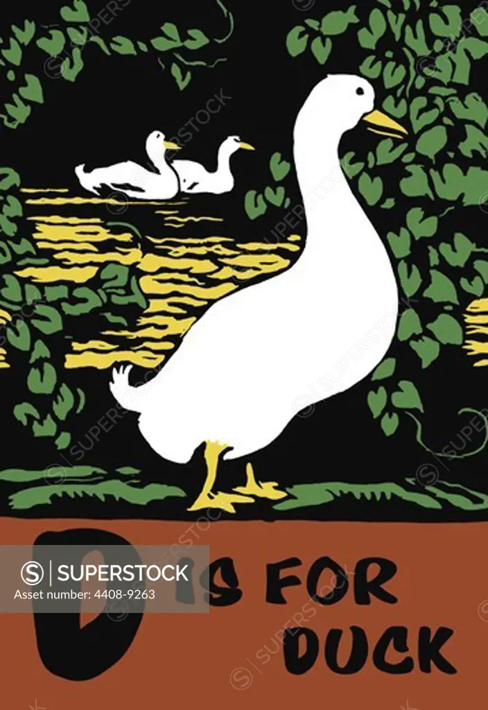 D is for Duck, C.B. Falls - Animal Alphabet