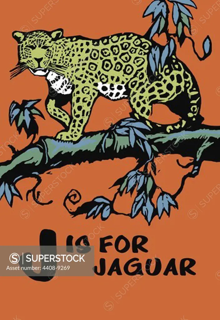 J is for Jaguar, C.B. Falls - Animal Alphabet