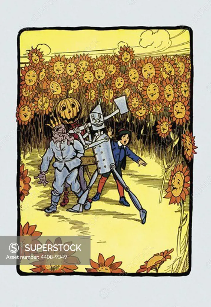 Field of Sunflowers, Wizard of Oz