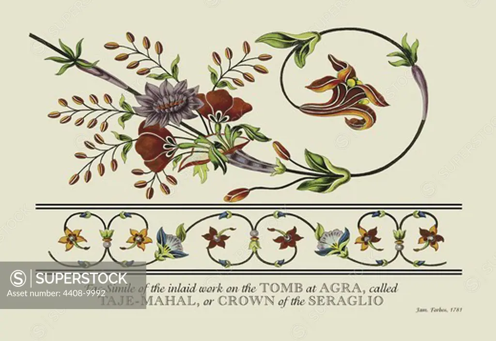 Taje-Mahal, or Crown of the Seraglio, Naturalist Illustration - Forbes