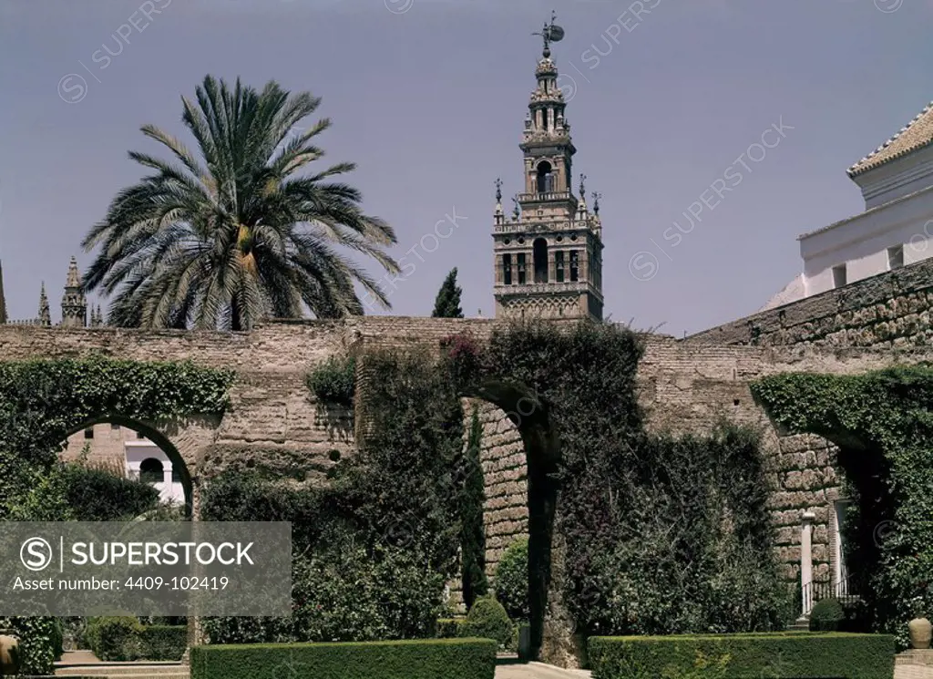 DT PATIO DE MONTERIA. Location: REALES ALCAZARES. Sevilla. Seville. SPAIN.