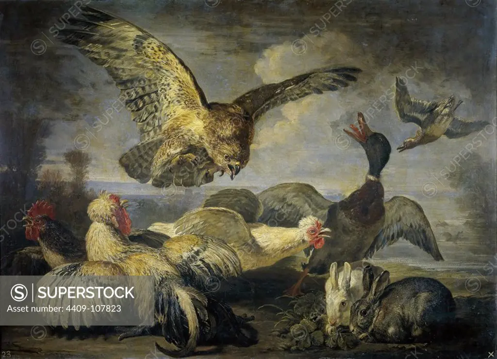 David de Coninck / 'Un milano y varias aves', Second half 17th century, Flemish School, Oil on canvas, 95 cm x 134 cm, P01527. Museum: MUSEO DEL PRADO, MADRID, SPAIN.