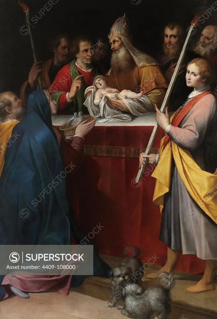 Camillo Procaccini / 'The Presentation of Jesus at the Temple', 17th century, Italian School, Oil on canvas, 216 cm x 148 cm, P07981. Museum: MUSEO DEL PRADO, MADRID, SPAIN.