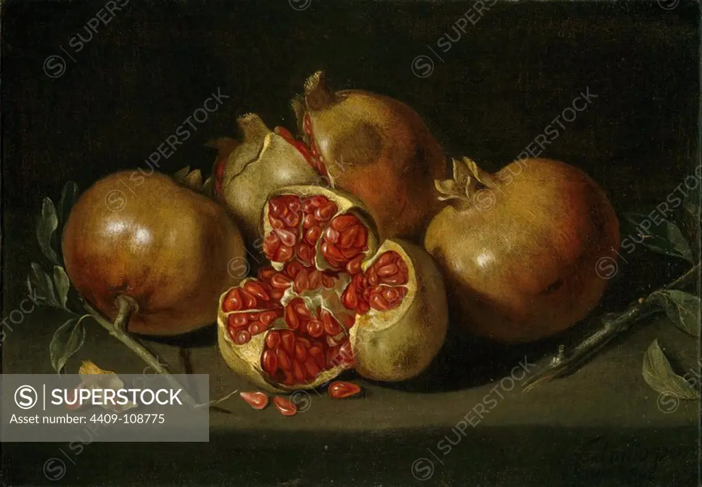 Antonio Ponce / 'Pomegranates', Middle 17th century, Spanish School, Oil on canvas, 25 cm x 35 cm, P07920. Museum: MUSEO DEL PRADO, MADRID, SPAIN.