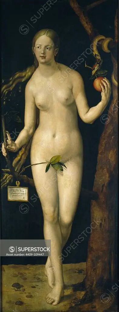 Alberto Durero / 'Eve', 1507, German School, Oil on panel, 209 cm x 80 cm, P02178. Museum: MUSEO DEL PRADO, MADRID, SPAIN.