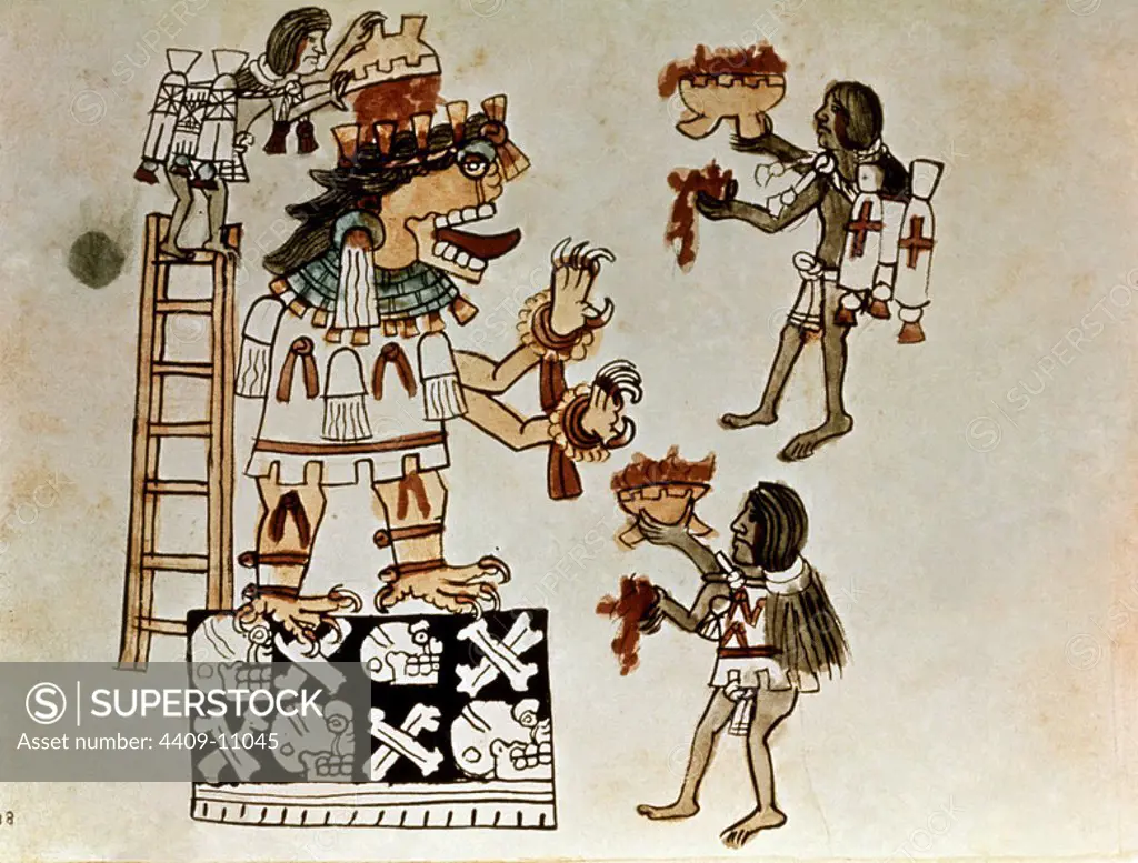 Blood offering to the god of war and sun god Huitzilopochtli. Codex Nuttall. Blood offering to the god of war and sun god Huitzilopochtli. Aztec Codex. Florence, National Library. Location: BIBLIOTECA NACIONAL COLECCIÓN. Florenz. ITALIA. DIOS AZTECA. HUITZILOPOCHTLI DIOS. DIOS DEL SOL. DIOS DE LA GUERRA.