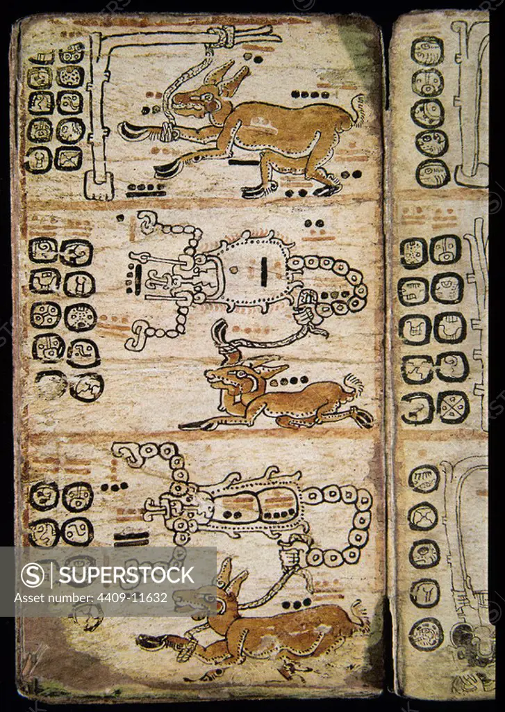 Page from the Madrid Codex (also known as the Tro-Cortesianus Codex). Mayan Culture . Fantasy creatures. 13th-15th centuries. Madrid, Museum of America. Location: MUSEO DE AMERICA-COLECCION. MADRID. SPAIN.