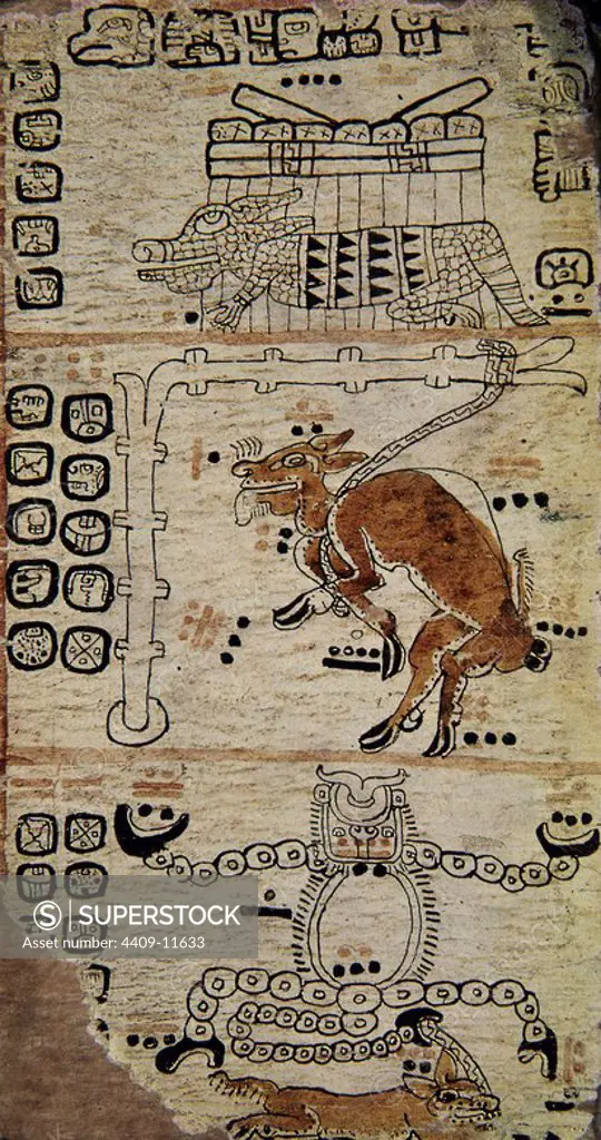 Page of the Tro-Cortesianus Codex. Facsimile. Page of the Tro-Cortesianus Codex. Mayan Culture . Fantasy creatures. Location: MUSEO DE AMERICA-COLECCION. MADRID. SPAIN.