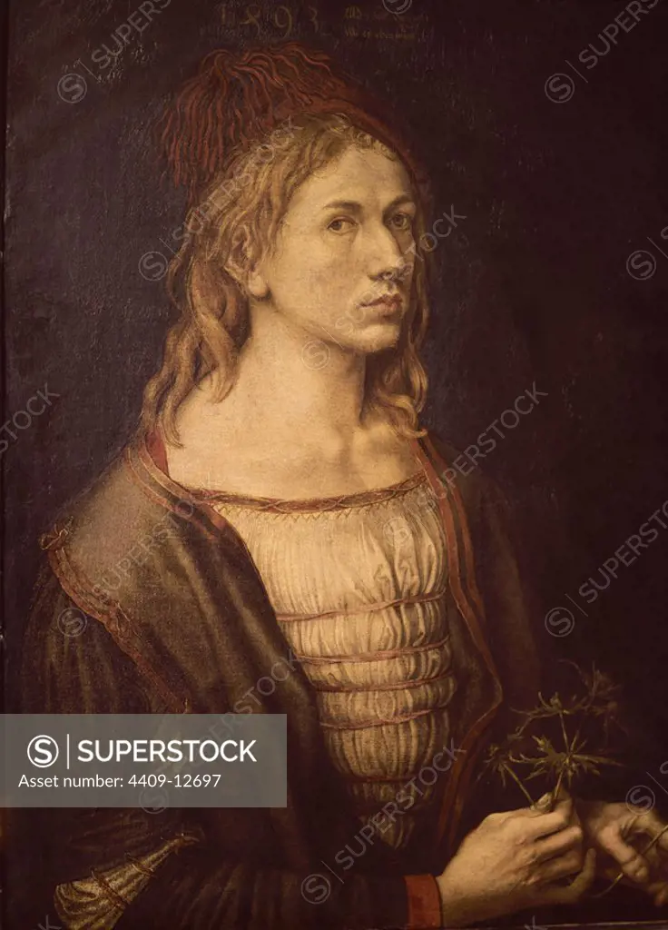 'Self-portrait', 1493, Oil on canvas, 56,5 x 44,5 cm. Author: ALBERTO DURERO-ALBRECHT DÜRER. Location: LOUVRE MUSEUM-PAINTINGS. France.