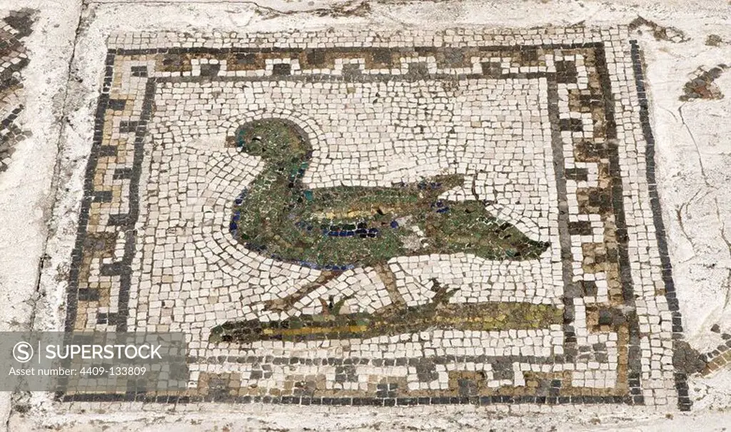 Spain, Andalusia, Seville province, Santiponce. Italica. Roman city founded in 206 BC by the Roman general Publis Cornelius Scipio. House of the Birds. Roman domus. Detail of the mosaic which gives the house its name. There are more than thirty species of birds. Depiction of a duck.