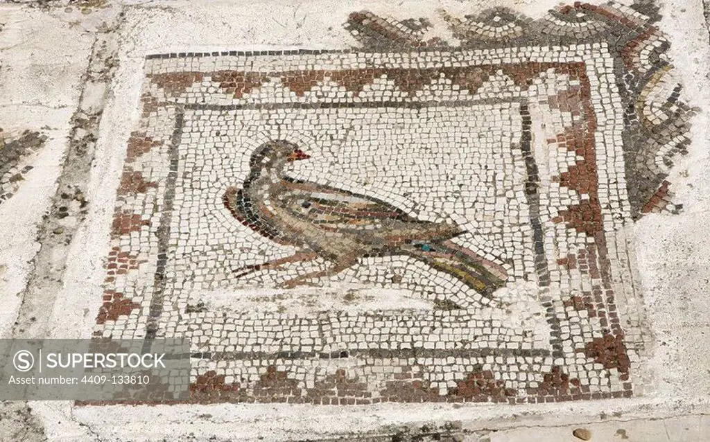 Spain, Andalusia, Seville province, Santiponce. Italica. Roman city founded in 206 BC by the Roman general Publis Cornelius Scipio. House of the Birds. Roman domus. Detail of the mosaic which gives the house its name. There are more than thirty species of birds. Depiction of a dove.