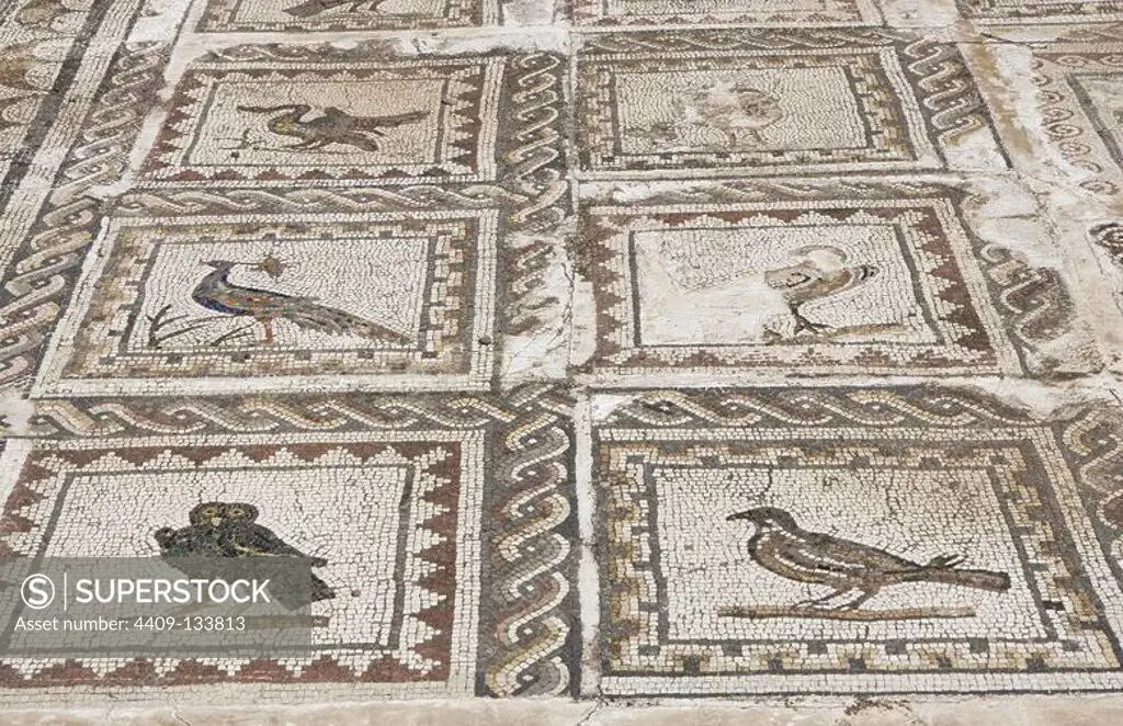 Spain, Andalusia, Seville province, Santiponce. Italica. Roman city founded in 206 BC by the Roman general Publis Cornelius Scipio. House of the Birds. Roman domus. Detail of the mosaic which gives the house its name. There are more than thirty species of birds.