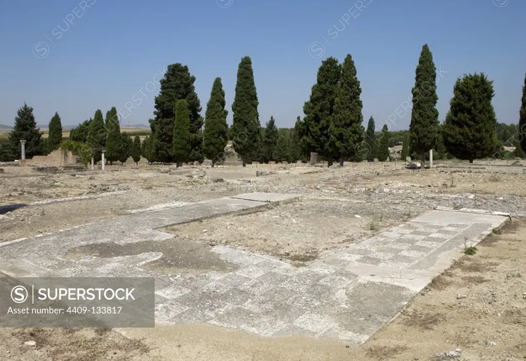 Spain, Andalusia, Seville province, Santiponce. Roman city of Italica, founded in 206 BC by the Roman general Scipio. Patio house Rodio. Remains of the mosaics, quite damaged.