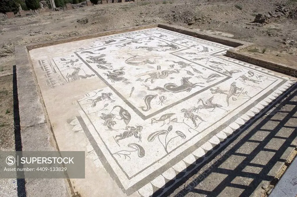 Spain. Italica. Roman city founded c. 206 BC. House of Neptune. Mosaic. Andalusia.