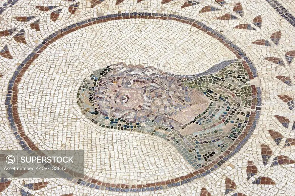 Spain. Italica. Roman city founded c. 206 BC. House of the Planetarium. Mosaic. Detail. Saturn. Andalusia.