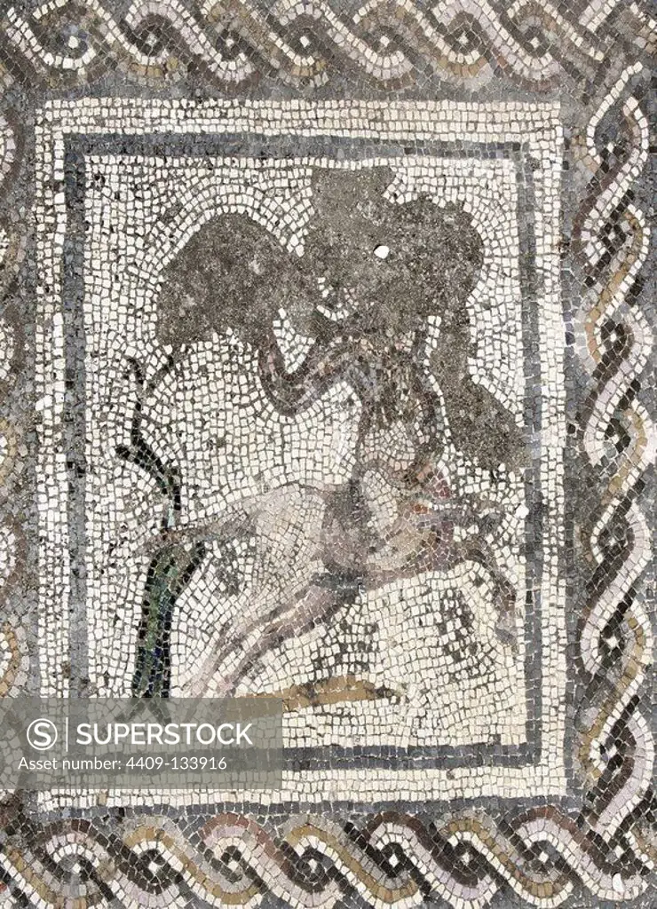 Spain. Italica. Roman city founded c. 206 BC. House of the Planetarium. Mosaic of Bacchus and Ariadne. Centaur. Andalusia.