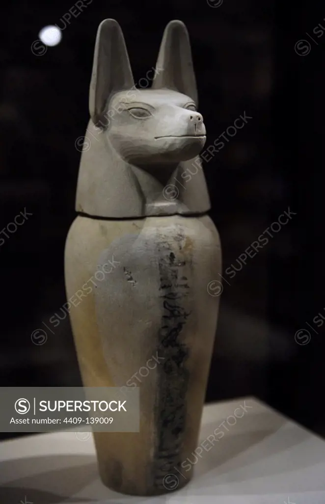 Canopic jar with lid in the form of the head of a jackal: Duamutef. Third Intermediate Period. 21st-24th Dynasties. 10th-8th centuries BC. Neues Museum. Berlin. Germany.